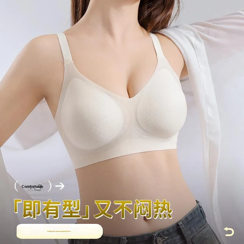 David Women's Bras-2
