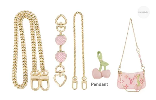 Lan Bao Fan Metal Bag Strap Accessories Women's Gold-Tone