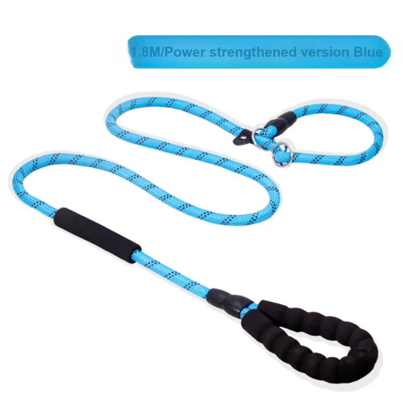 Kimpets Leashes-1