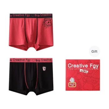 FGY Underpants Men's Gift Box Of 2 Strips