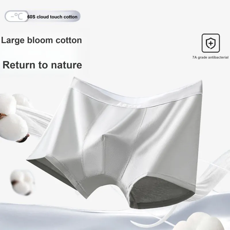 Disney Underpants Men's Gift Box Combination-1