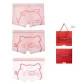 Red Box 3 Pack (Dudu Pig+Mimi Pig+Bai Mi Pig)