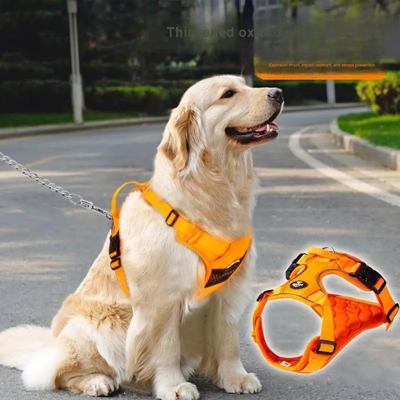 Hippie dogs Leashes-1