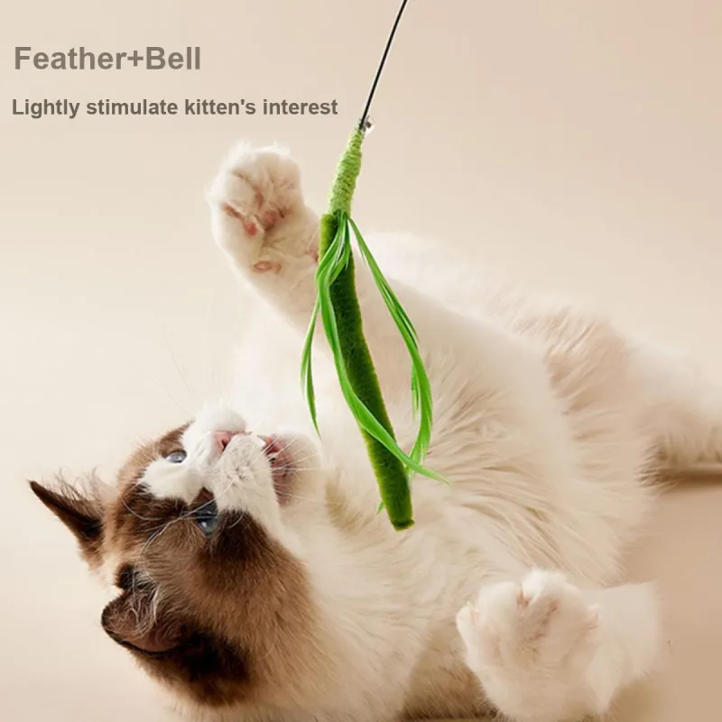 Kimpets Pet Toys-3