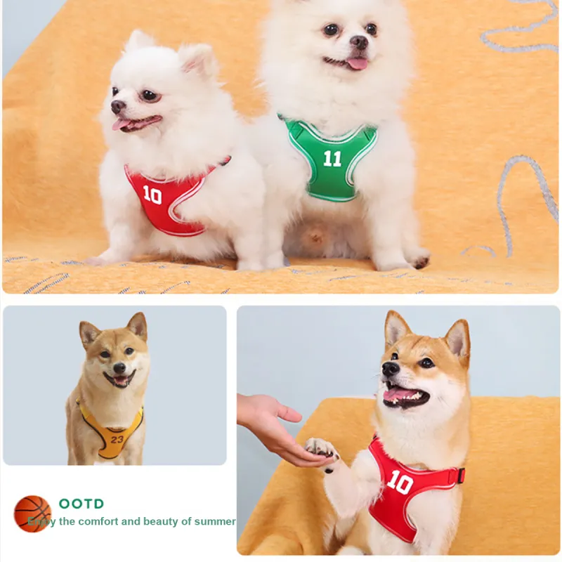 Bebe fun Leashes-3