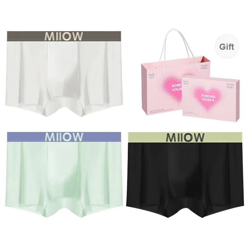 MIIOW Underpants Men's Box 3 Pack-5
