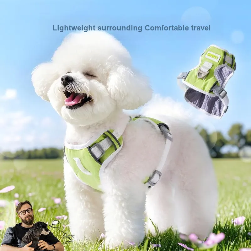 Hippie dogs Leashes-1