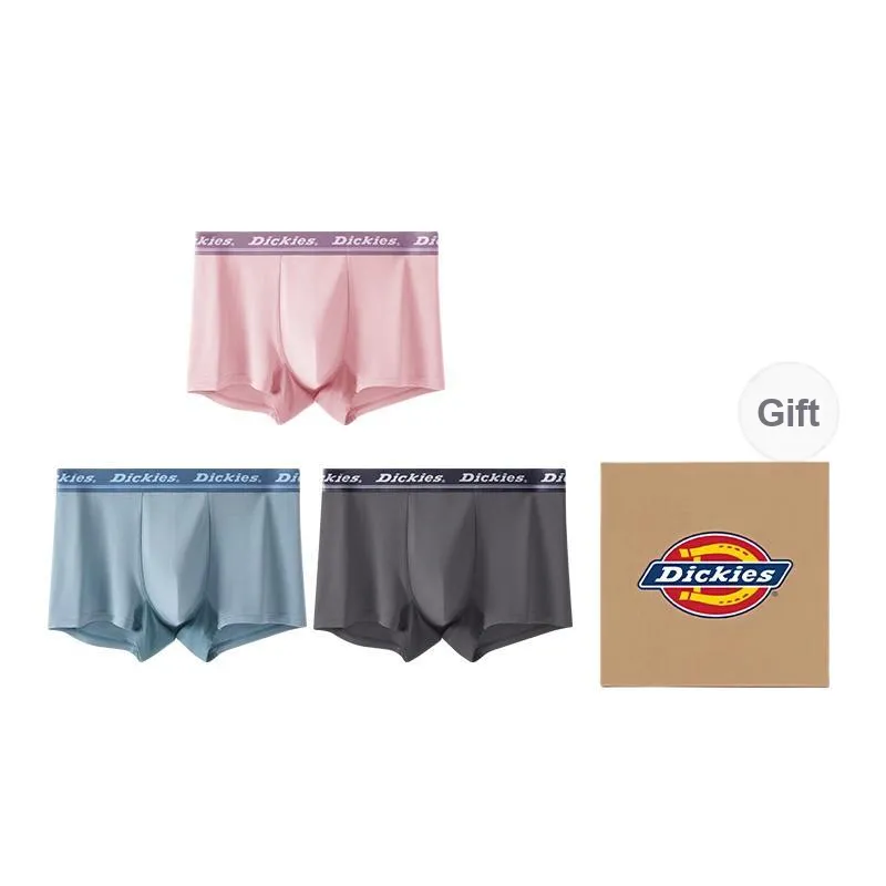 Dickies Underpants Men's Box 3 Pack-10