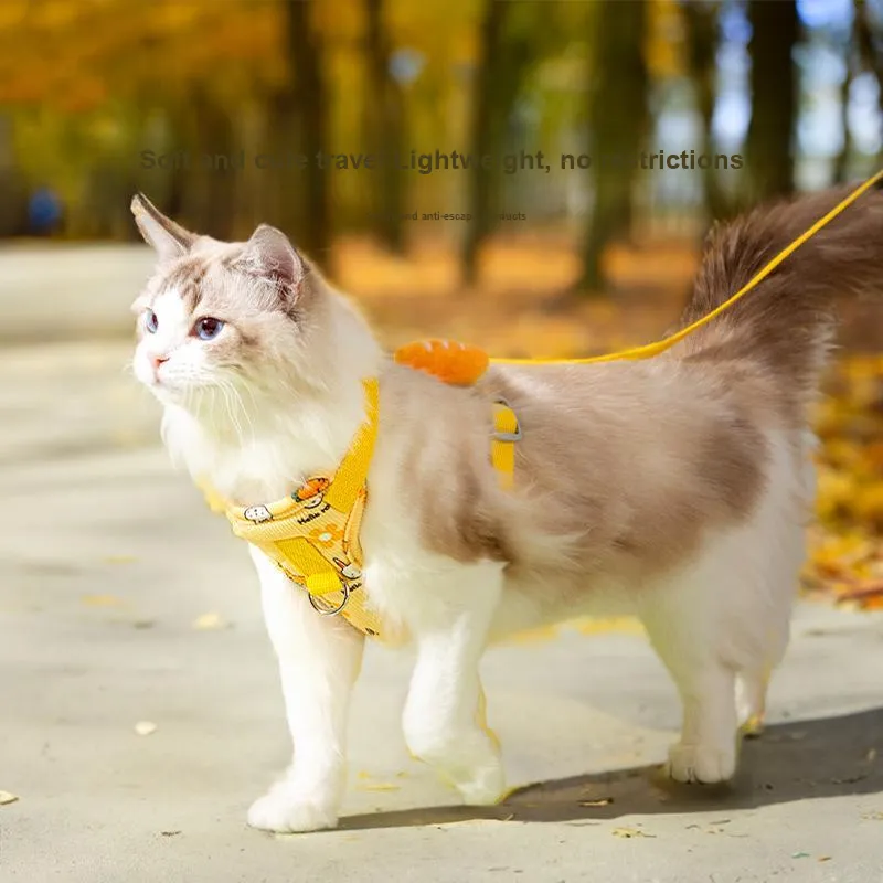 Hippie dogs Leashes-1