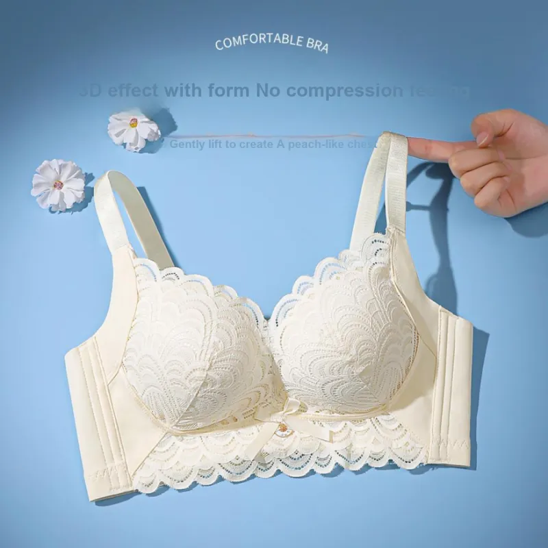 Lanza The Year Of The Dragon Series Bra Women's 2 Pack-154