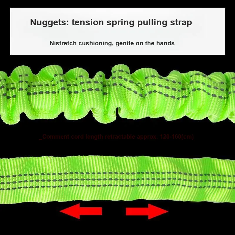 Pampering Leashes-5