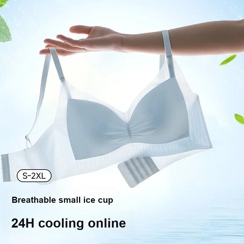 David Women's Bras-17