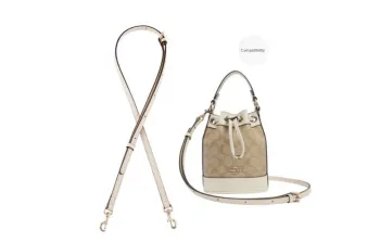 Lan Bao Fan Nylon Liner Bag Accessory Women's Brown