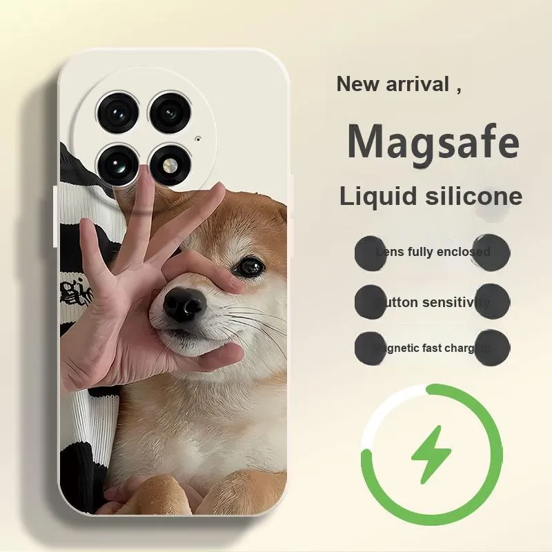 Baochengbao Phone Cases-4