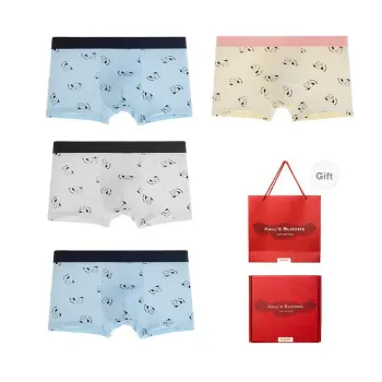 Maiden House Underpants Men's Gift Box Set Of 4