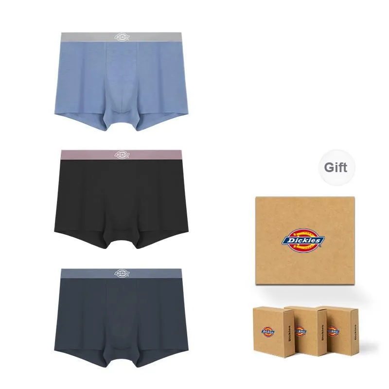 Dickies Underpants Men's Box 3 Pack-45