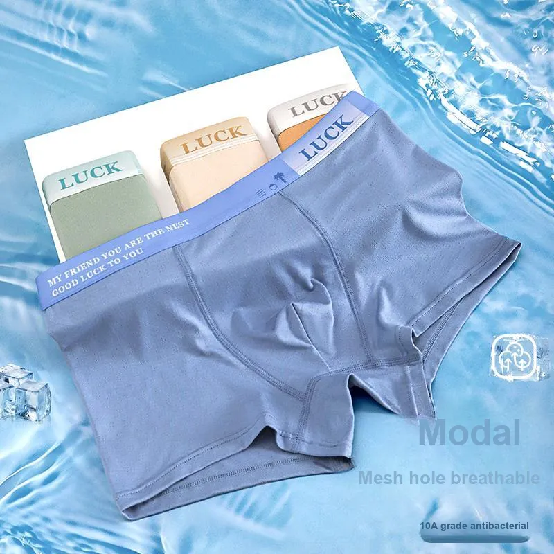 Herbal Primer Underpants Men's 4 Pack-2