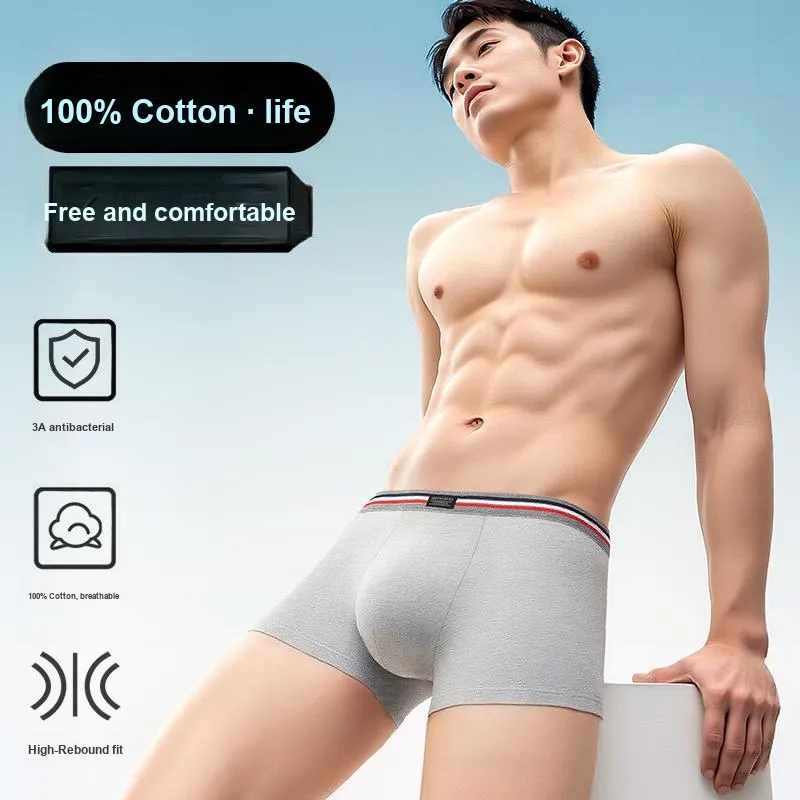 SEPTWOLVES Underwear Gift Box Men's-10