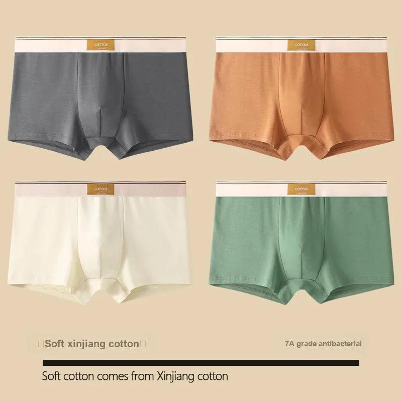 GOSO Underpants Men's Combo Set-13