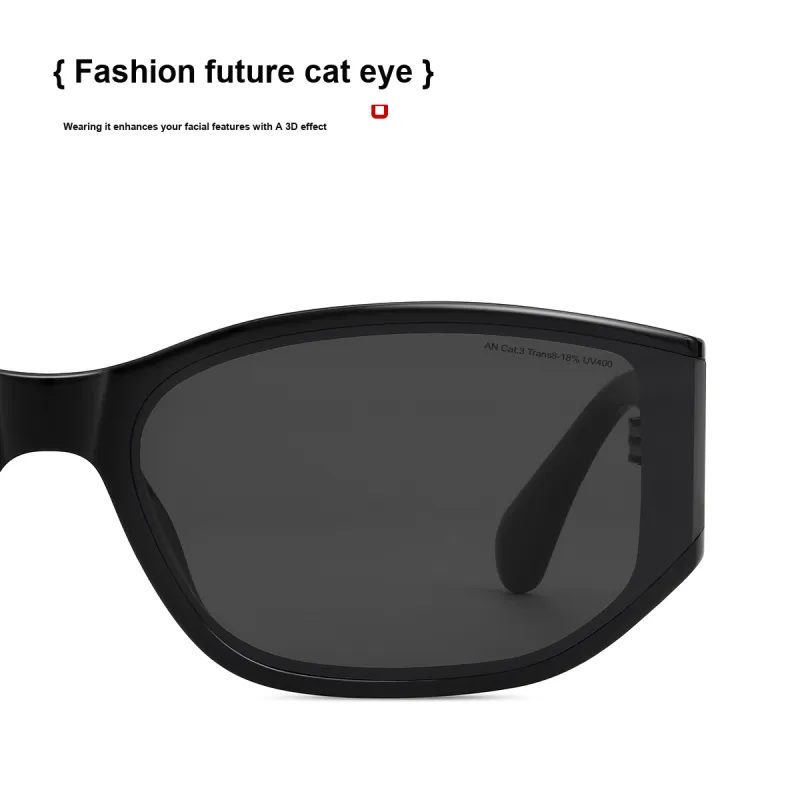 ZIPPO Plate Frame Cat Eye Sunglasses Women's-3