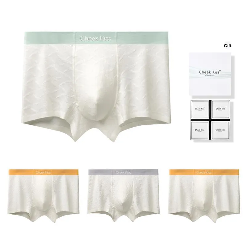 Cheekkiss Underpants Men's Box 3 Pack-27