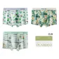 3 Pack[Lucky Clover+Summer Floral+Fresh Planner]