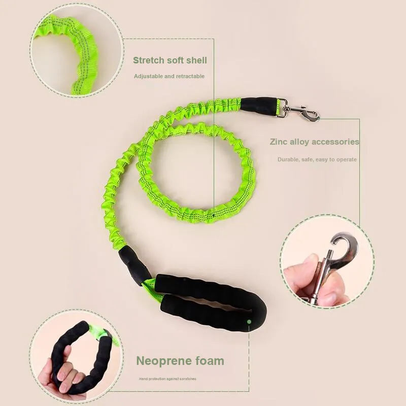 Pampering Leashes-10