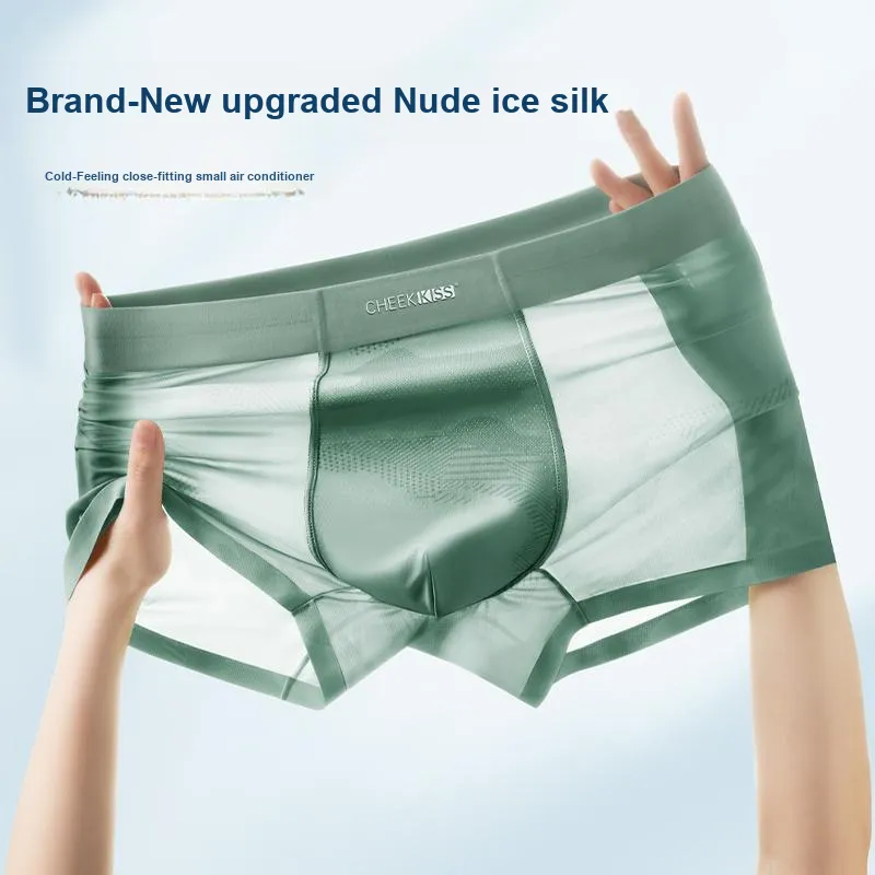 Cheekkiss Underpants Men's Box 4 Pack-18