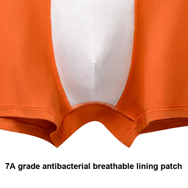 Lee Hui Guang II Generation Underpants Men's 4 Pack-20