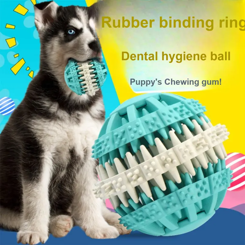 Kimpets Pet Toys-2