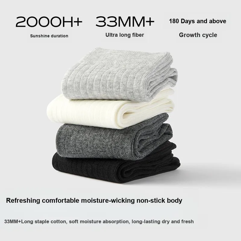 B&C.Room Knee High Socks Women's 3 Pack-10