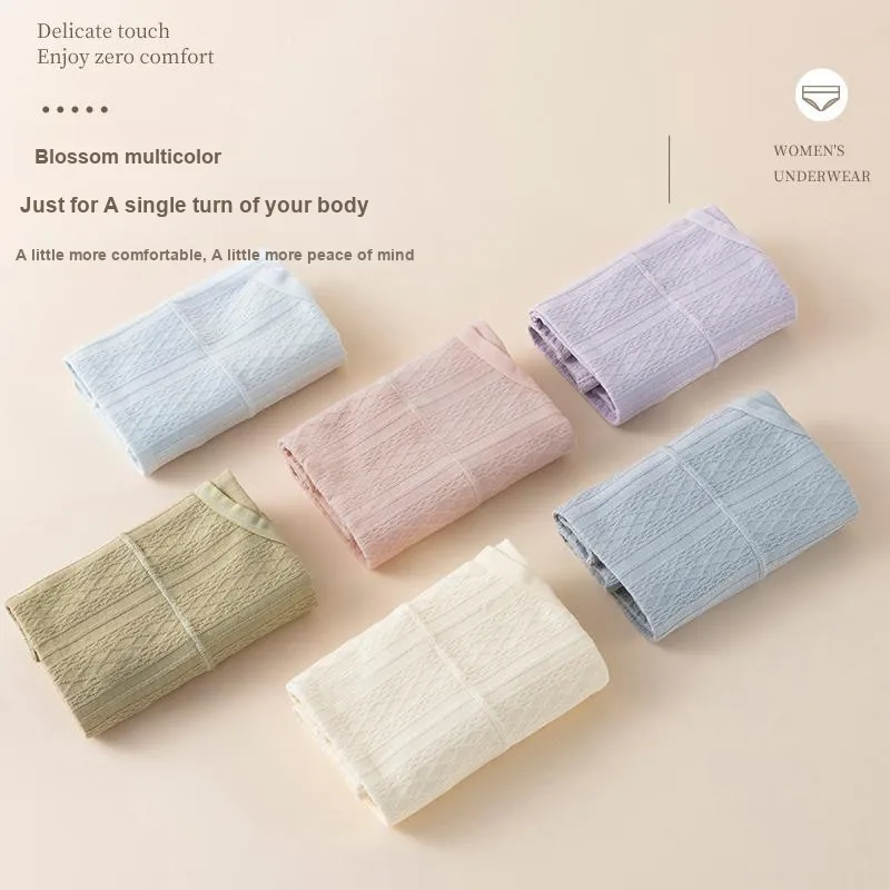 Cotton Gene Underpants Women's 2 Pack-1