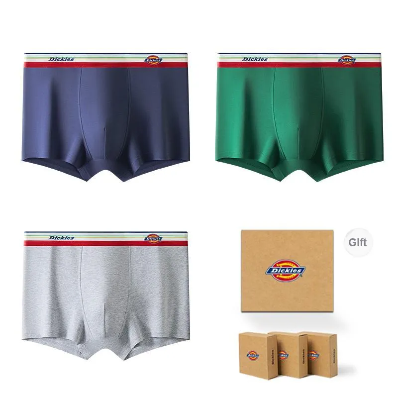 Dickies Underpants Men's Gift Box Combination-48