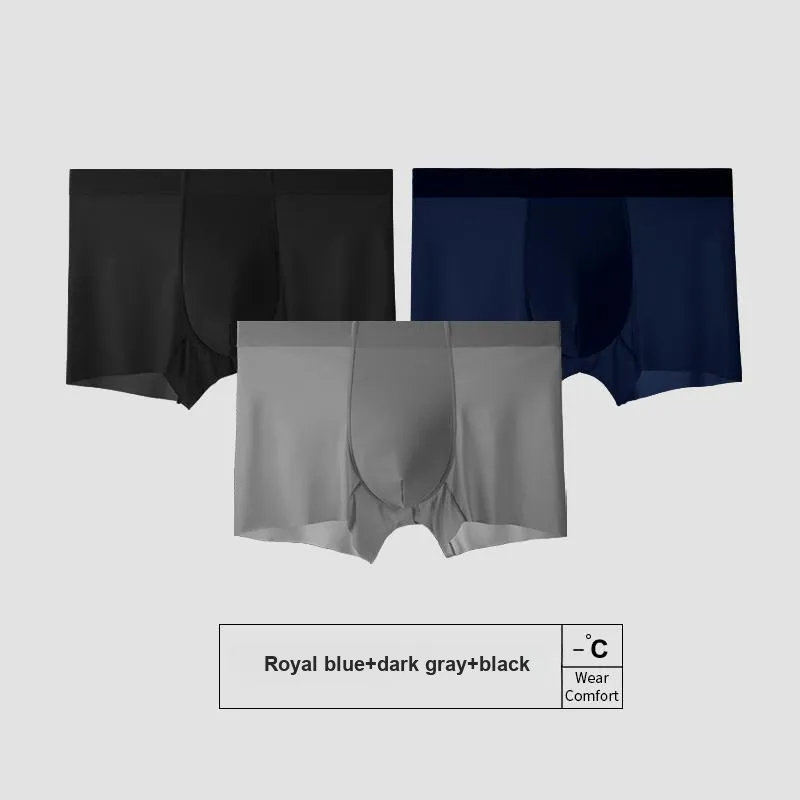 Icolor Men Underpants-11