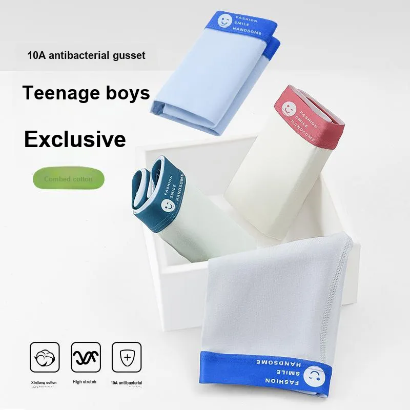 Herbal Primer Underpants Men's 4 Pack-5