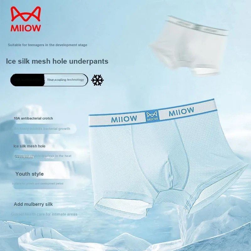 MIIOW Cool One Summer Series Underpants Men's 4 Pack-2