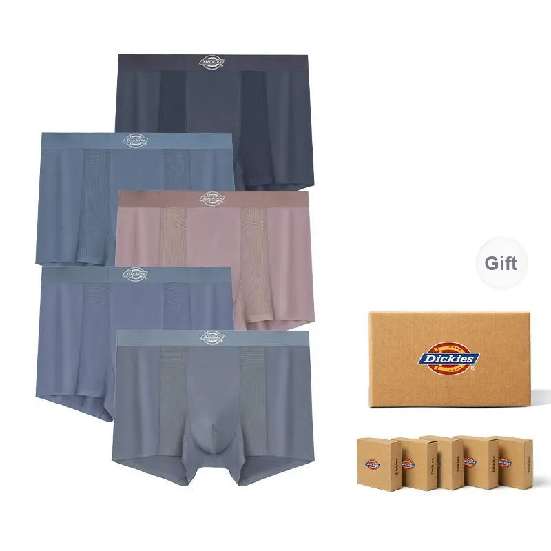 Dickies Underpants Men's Skin Friendly Minimalist Style Comfortable Modal Boxer Shorts Box Combo Set-18