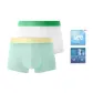 White+Light Green (Box of 2 Packs)