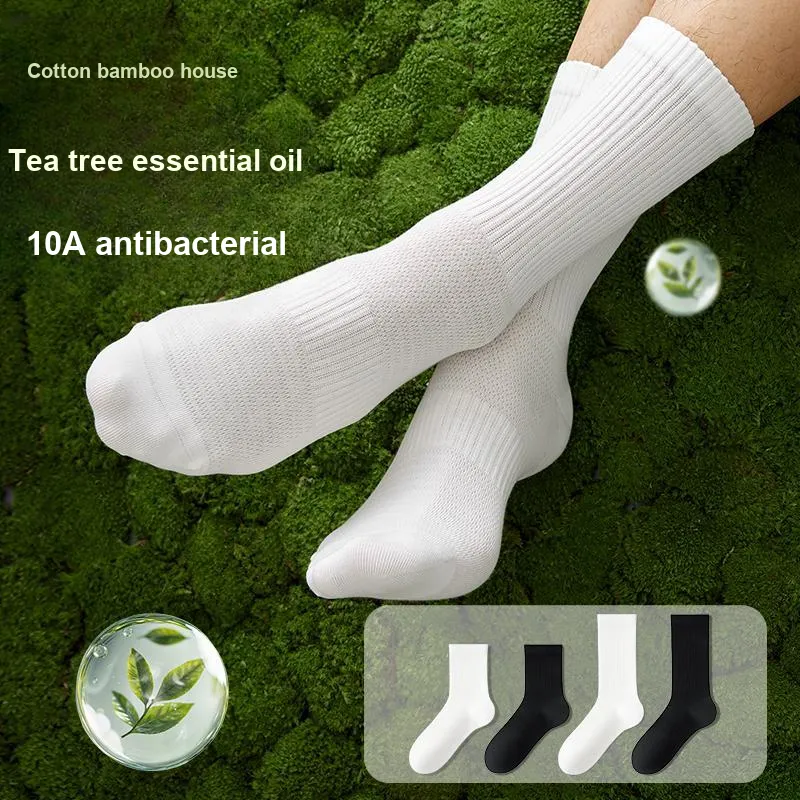 B&C.Room Mid Calf Socks Men's 5 Pack-3