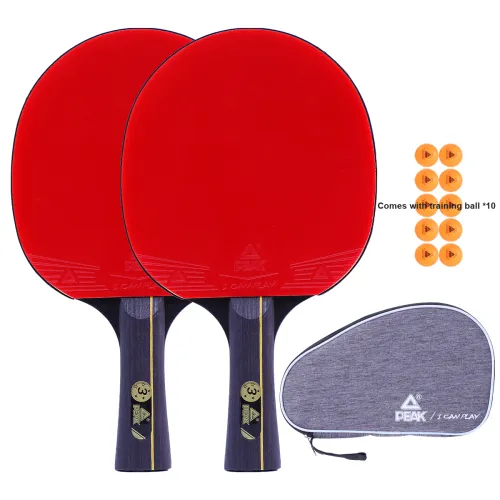 Famous Ships Ping Pong Paddles Unisex Stainless Steel Ayus Wood Silver