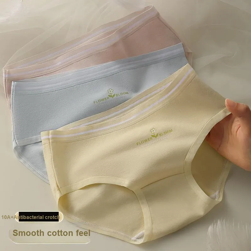 Lan Miao Underpants Women's Combo Set-18