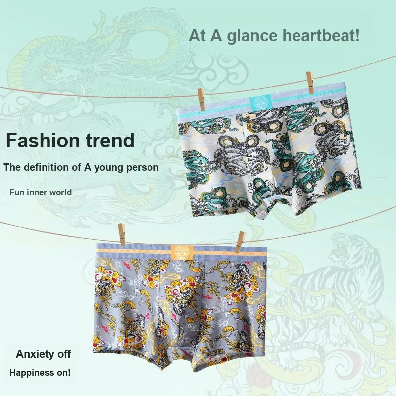 PLANDOO Underpants Men's 2 Pack-9