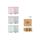 3 Pack (Gray Green+Light Beige+Gray Pink)