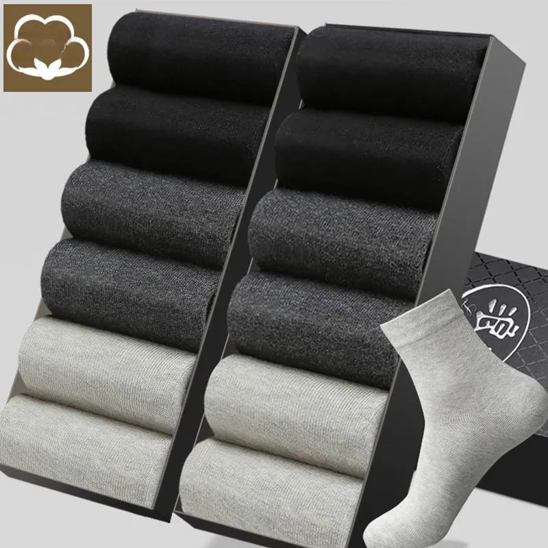 Lanza Men Knee high Socks-19
