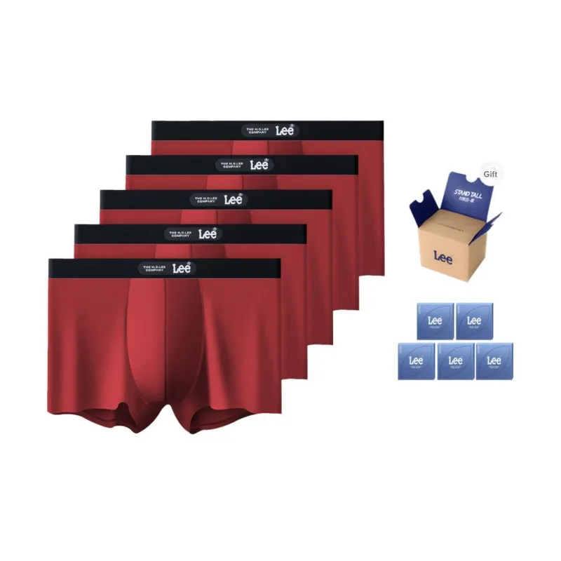 Lee Brilliant Underwear Gift Boxes Men's 5 Pack-8