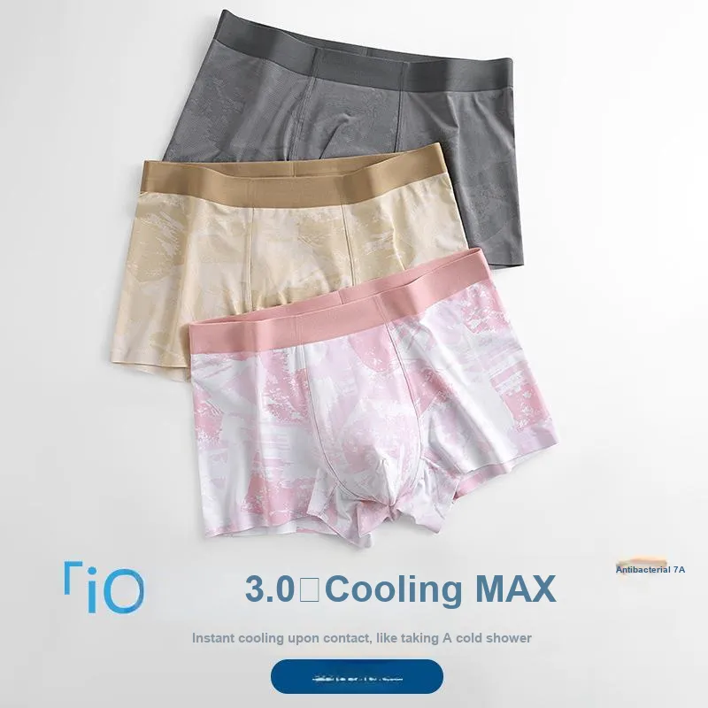 ROBINHOOD Underpants Men's 4 Pack-21