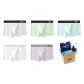 5 Pack (Cold Mist Gray+Light Grass Green+Glacier Blue+White+Frost Purple)