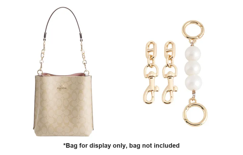 Luxury Care Artisan Workshop Metal Alloys Bag Shoulder Strap Women's White/Gold Tone-4