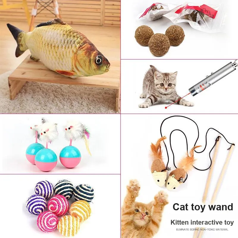 Pampering Pet Toys-2
