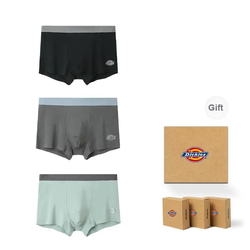 Dickies Underpants Men's Modal Cotton Premium Flat Box Combo Set-10